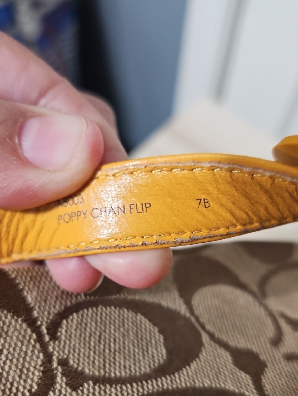 Coach EUC Poppy Chan Lemon Signature Print Thong Sandals - Picture 4 of 8